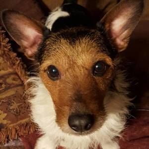 Meet your Posher, Tina